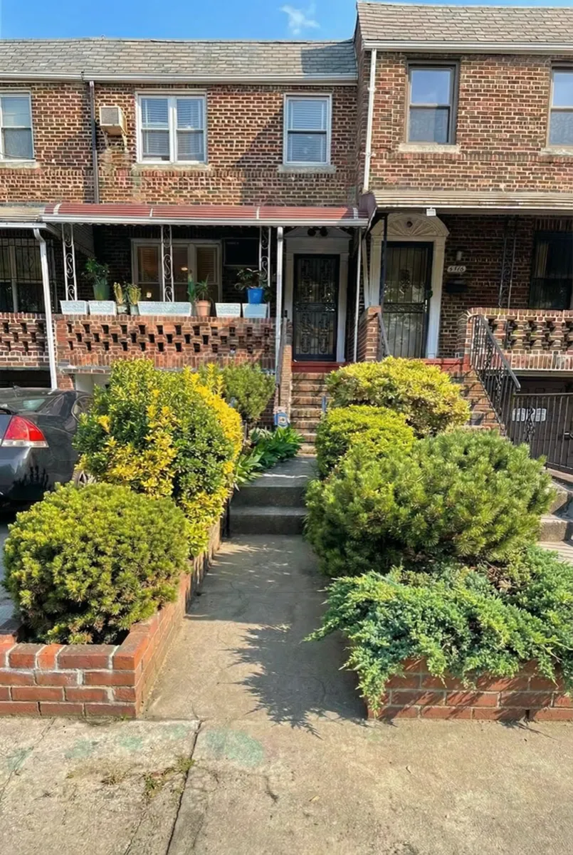 Before: overgrown front yard